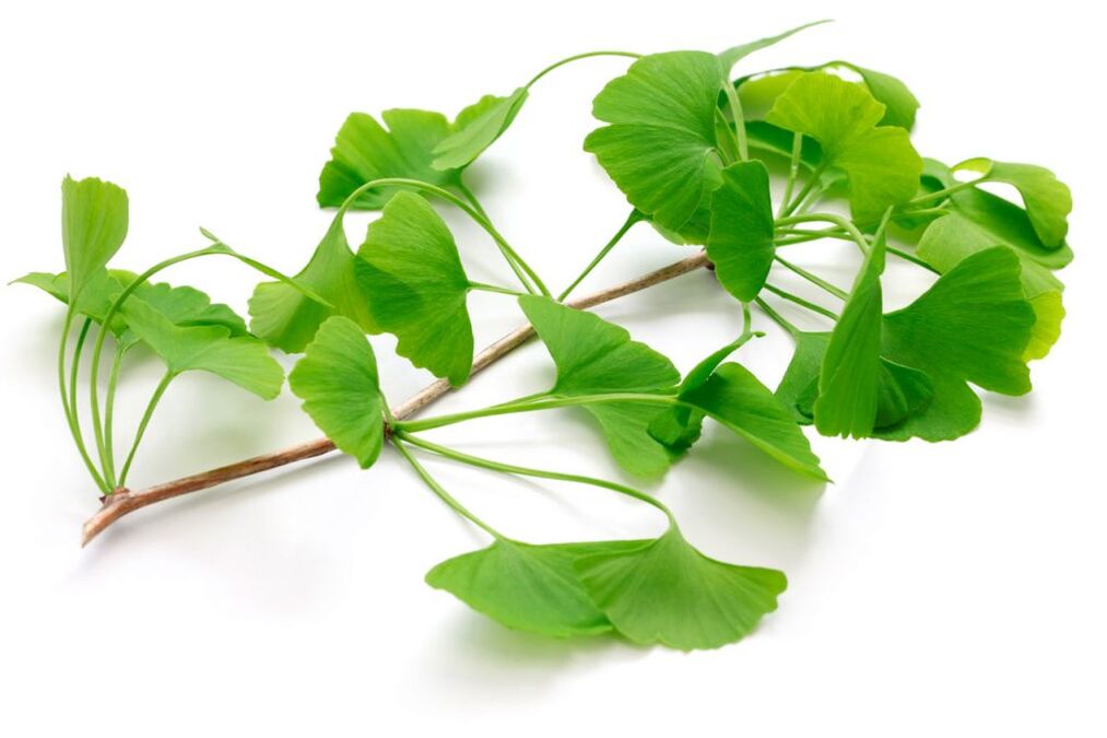 ginko biloba v kapsulah Insuvit